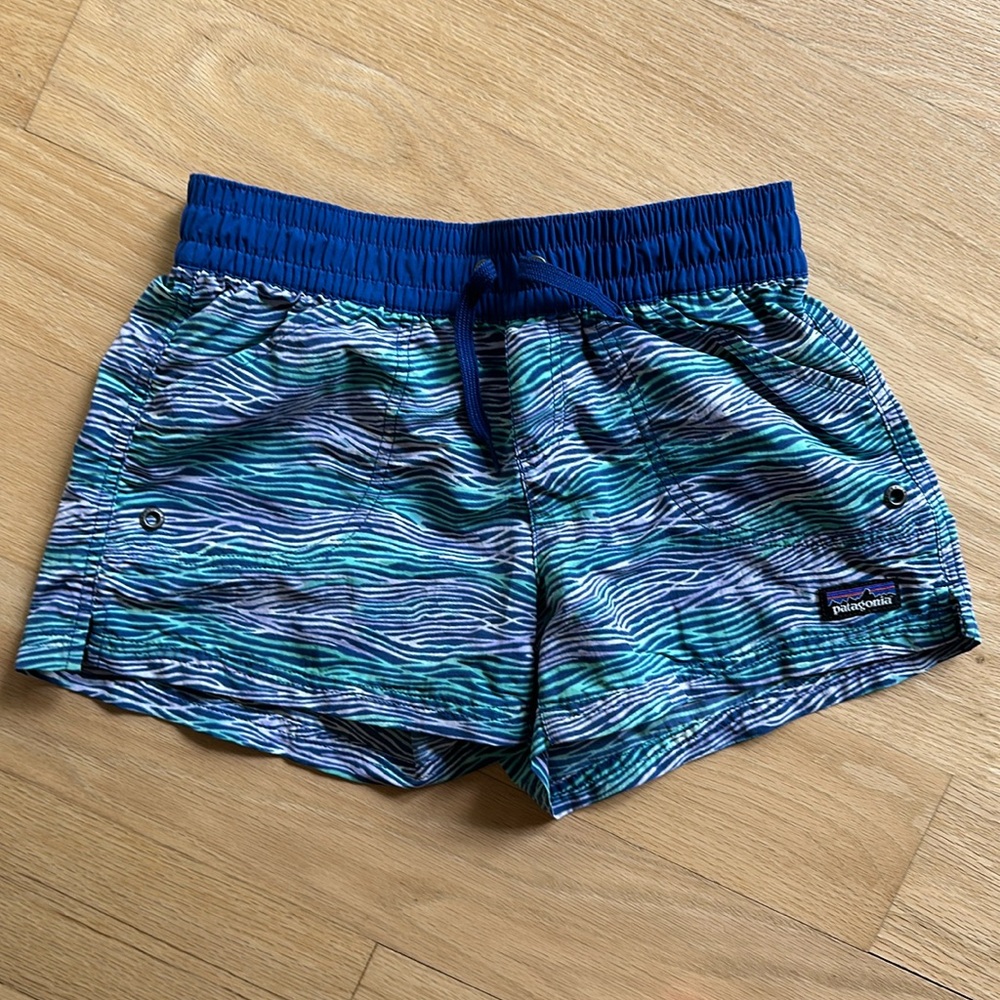 Patagonia Shorts - Baggies